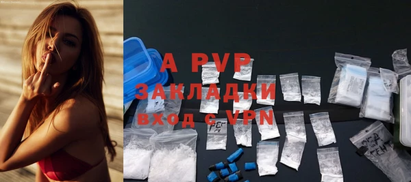 ГАЛЛЮЦИНОГЕННЫЕ ГРИБЫ Покачи