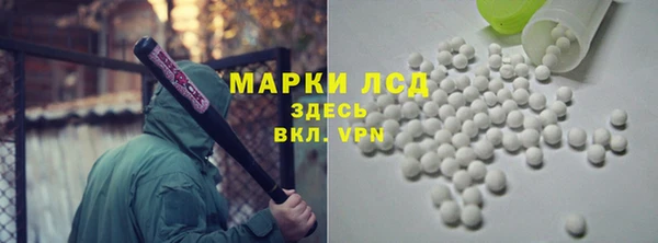 PSILOCYBIN Алзамай