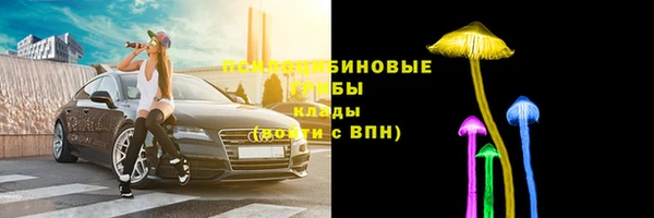 apvp Алексеевка
