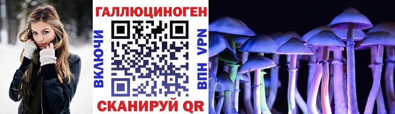 KRAKEN ссылки  сколько стоит  Ревда  Галлюциногенные грибы прущие грибы 