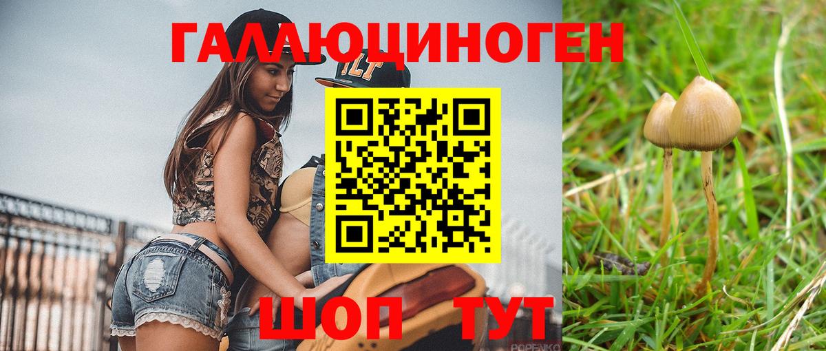 Ревда  Галлюциногенные грибы Psilocybine cubensis  Псилоцибиновые грибы Cubensis  как найти наркотики  Вход с VPN 