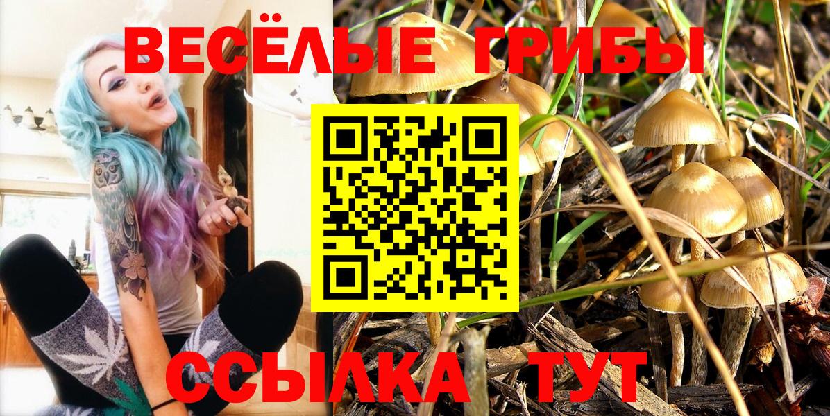 Галлюциногенные грибы MAGIC MUSHROOMS  Вход с VPN  Ревда 