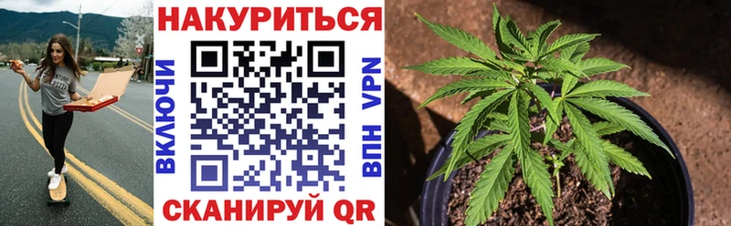 ссылка на мегу вход  купить наркотики цена  Ревда  площадка наркотические препараты  МАРИХУАНА White Widow 
